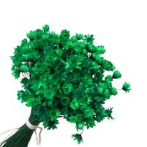 600 Sempre Viva Florzinha Verde escuro I Flores Desidratadas 600 Sempre Viva Florzinha Verde escuro I Flores Desidratadas