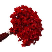 600 Sempre Viva Florzinha Vermelha I Flores Desidratadas