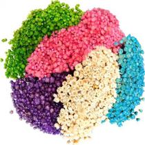 600 Sempre Viva Para Decoração