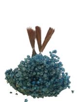 600 Sempre Vivas Decoração Casamento Lembrança Azul Claro 600 Sempre Vivas Decoração Casamento Lembrança Azul Claro