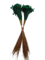 600 Sempre Vivas Decoração Casamento Lembrança Verde Escuro 600 Sempre Vivas Decoração Casamento Lembrança Verde Escuro