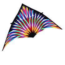 6m² Grande Delta Kite Fly For Outdoor Toys Parachute Kite For Adults Kite Kevlar Line Weifang Factory Kite Surf Kites & Acessórios - HTTN