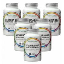 6x B12 Metilcobalamina- Ácido Fólico- Ferro- 60 Cápsulas 6x B12 Metilcobalamina- Ácido Fólico- Ferro- 60 Cápsulas