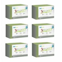 6x Belt Maximize Bypass - 60 Cápsulas - Belt Nutrition