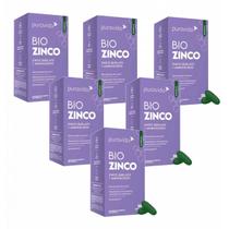 6x Bio Zinco PuraVida - Zinco Quelado + Aminoácidos
