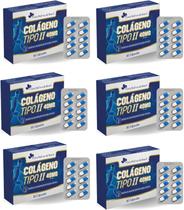 6x Colágeno Tipo 2 Blister 400Mg 60 Caps Flora Nativa