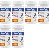 6x Colágeno Tipo 2 + Vitamina C 500mg 60 Comprimidos - ApisNutri