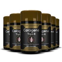 6x colágeno tipo ii 120 cápsulas hf suplementos