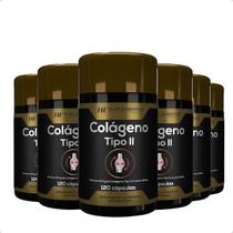 6x colágeno tipo ii 120 cápsulas hf suplementos