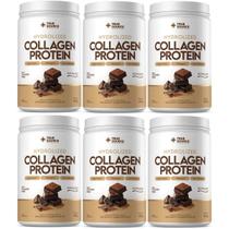 6x Collagen Protein Bodybalance Chocolate Belga 450g -True Source