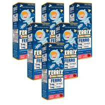 6x Ferrix- Ferro Em Gotas Kids- 30ml- Flora Nativa- Morango
