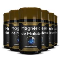 6X Magnesio De Malato Premium 60 Caps Hf Suplementos