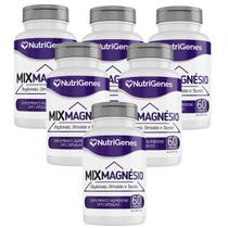 6x Mix Magnésio- Treonato, Dimalato e Taurato- Nutrigenes