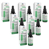 6x Nanoprópolis- Extrato de Própolis Verde- 20ml- Apis Vida