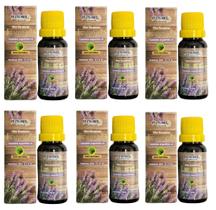 6x Óleo Vegetal - Plus Mel - 20ml (cada) - Produto 100% NATURAL