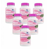 6x Pinus Pinaster - 60 Cápsulas- Global Suplementos 6x Pinus Pinaster - 60 Cápsulas- Global Suplementos