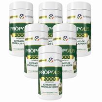 6x Própolis Verde 500 Mg - 120 Caps. - Apisvida