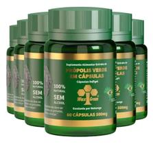 6x Própolis Verde 86% Wax Green-60 Cápsulas 500mg - WaxGreen