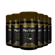 6x psyllium 120 cápsulas hf suplementos