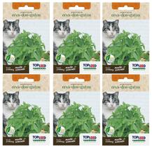 6X Sementes Erva Dos Gatos (Nepeta Cataria) Catnip TOPSEED
