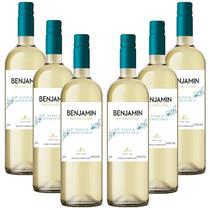 6X Vinho Argentino Benjamin Nieto Branco Suave 750Ml