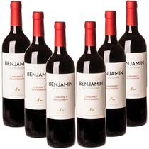 6X Vinho Argentino Benjamin Nieto Cabernet 750Ml