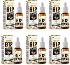 6x Vitamina B12 Sublingual (Metilcobalamina) 20Ml Gotas Flora Nativa