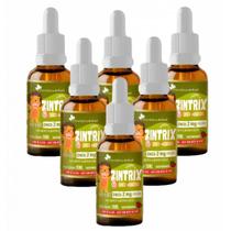 6x Zintrix Zinco Em Gotas Kids- 20ml- Flora Nativa- Morango 6x Zintrix Zinco Em Gotas Kids- 20ml- Flora Nativa- Morango