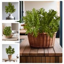 7 Buquês de Planta Artificial Folha Realista Guaimbê de Silicone para Enfeitar Ambiente Decoração Estilo Jardim - DE1725