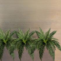 7 Buquês de Samambaia Artificial Verde 50x40 para Enfeite de Ambientes Internos e Externos DE294912