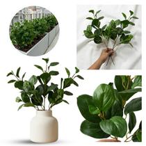 7 Folhagens Artificiais Silicone Toque Realista com Oferta Atacado para Jardim Vertical e Vasos 7 Folhagens Artificiais Silicone Toque Realista com Oferta Atacado para Jardim Vertical e Vasos