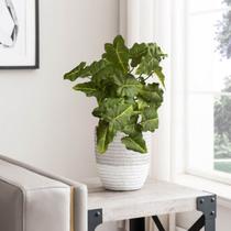 7 Galhos Artificial Caladium Realista 80cm Decoração Moderna