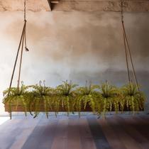 7 Samambaias Outonadas com Galhos Ajustáveis para Painéis Verdes e Varandas - DE2223