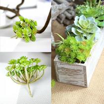 7 suculentas artificiais realistas planta artificial em silicone decoração floral casa comercio - DE8863VD