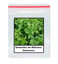 70 Sementes de Alfavaca Genovese