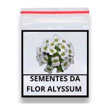 70 Sementes de Alyssum Odorante Tapete De Neve 70 Sementes de Alyssum Odorante Tapete De Neve