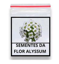 720 Sementes Flor Alyssum Odorant Tapete De Neve