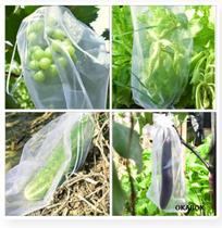 75 Saquinho organza protegue fruta no pé 17x23 cm ecologica - OKABOX