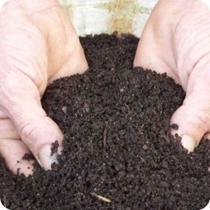 7KG Terra Preta Adubada Pronto para Plantio de Plantas, Pomares e Hortas