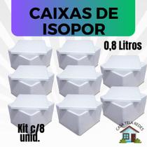 8 Caixas de Isopor EPS 0,8 litros para sorvetes e medicamentos