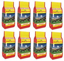 8 Erva mate Chimarrão MADRUGADA REQUINTE Moagem Fina 1kg