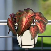 8 galhos folhagem realista em silicone planta artificial artesanato decoração arranjos buques - DE1423 8 galhos folhagem realista em silicone planta artificial artesanato decoração arranjos buques - DE1423