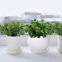 8 maços mini hastes eucalipto (48 hastes) planta artificial: artesanato e arranjos em buquês - DE2823 8 maços mini hastes eucalipto (48 hastes) planta artificial: artesanato e arranjos em buquês - DE2823