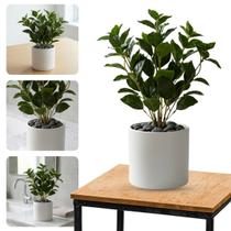 8 Peperômias Artificial 80cm Kit com Folhas Realistas para Vasos Decorativos 8 Peperômias Artificial 80cm Kit com Folhas Realistas para Vasos Decorativos