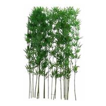 8 Planta Bambu Bambo da Sorte Folhagem 1,5mt Artificial - La Caza Store