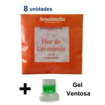 8 Sachê Perfumado Aromatizador Gaveta Cheirinho Armário Grandes de 25g Marca Senalândia - Envio Já