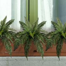 8 Samambaias Artificiais Verdes Realista com Folhas de Alta Qualidade e Fácil Instalação DE294912 8 Samambaias Artificiais Verdes Realista com Folhas de Alta Qualidade e Fácil Instalação DE294912