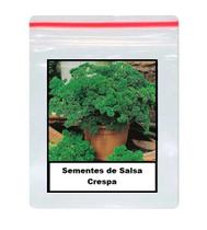 80 Sementes de Salsa Crespa
