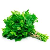 80 Sementes de Salsa Lisa PRODUTO ORIGINAL