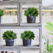 9 maços (54 hastes) Picks mini eucalipto planta artificial buquê para arranjo casamento - DE2823